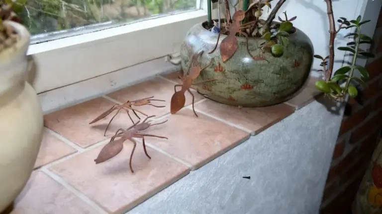 Insetti decorativi a forma di formica su un davanzale interno accanto a dei vasi di piante.