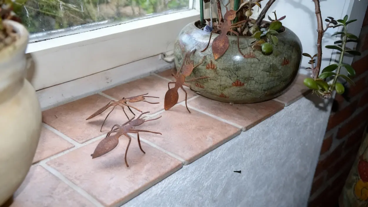 Insetti decorativi a forma di formica su un davanzale interno accanto a dei vasi di piante.