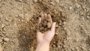 Mano che tiene terra argillosa e compatta su un terreno arido