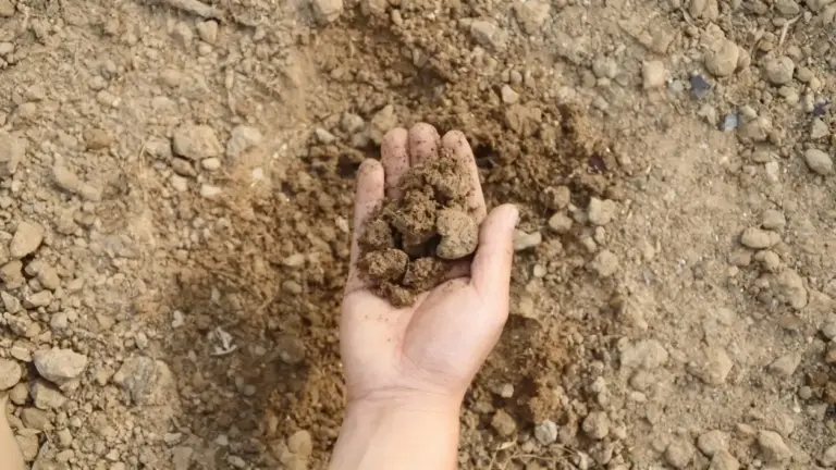 Mano che tiene terra argillosa e compatta su un terreno arido