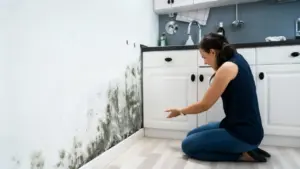 Persona che osserva muffa nera su una parete dietro i mobili della cucina