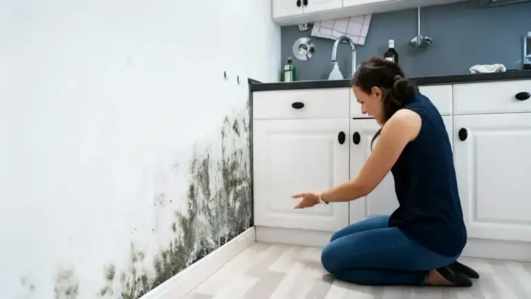 Persona che osserva muffa nera su una parete dietro i mobili della cucina